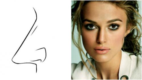 Характер по носу у женщин. Форма носа и характер человека 07 Характер по носу у женщин. Форма носа и характер человека 07