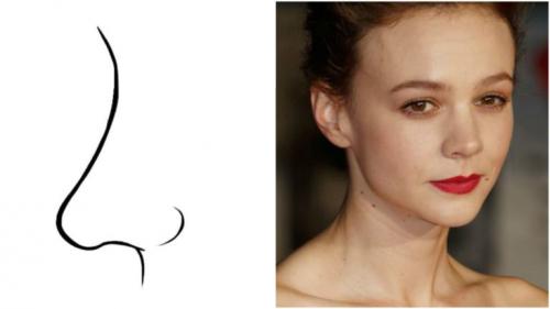 Характер по носу у женщин. Форма носа и характер человека 06 Характер по носу у женщин. Форма носа и характер человека 06