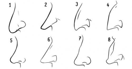 Характер по носу у женщин. Форма носа и характер человека 01 Характер по носу у женщин. Форма носа и характер человека 01