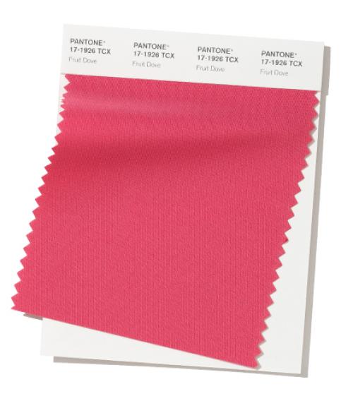Pantone 2020 цвет года. Неделя моды в Нью-Йорке Осень / Зима 2019/2020