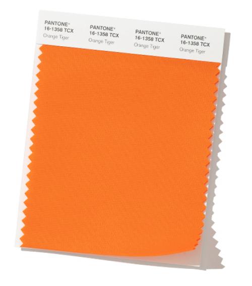 Pantone 2020 цвет года. Неделя моды в Нью-Йорке Осень / Зима 2019/2020