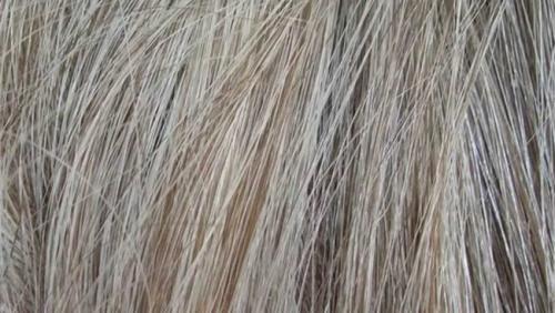 Мелирование прикорневое, как делать. Мелирование на отросшие корни – фото, отзывы, цены, плюсы и минусы