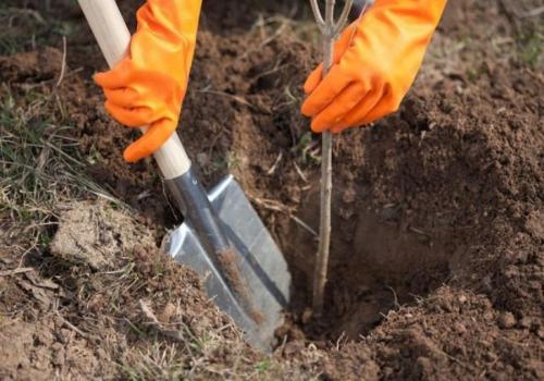 Минусы и плюсы зимы. Минусы зимы превращаем в плюсы! 01