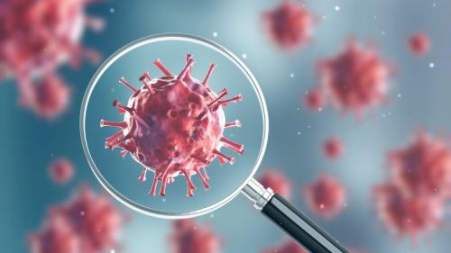 Что коронавирус делает с нашим телом. Что коронавирус делает с организмом человека, и почему некоторые больные не выживают 05