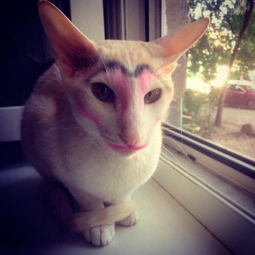 Как сделать уставшее лицо свежим. 7 ошибок в макияже, которые придают лицу утомленный и несвежий вид