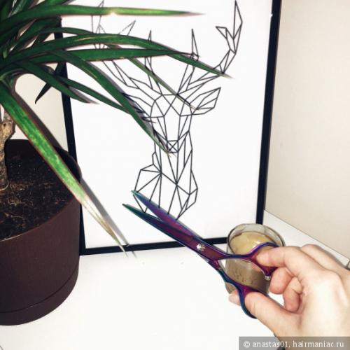 Волосы торчат по всей длине. Сечение волос по всей длине. Как я справляюсь