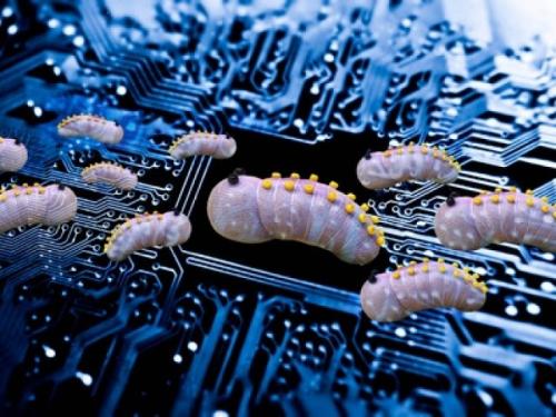 Как защититься от компьютерных вирусов. Популярные виды вирусов