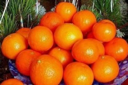 Сколько в день можно съедать мандаринов беременной. Мандарины при беременности
