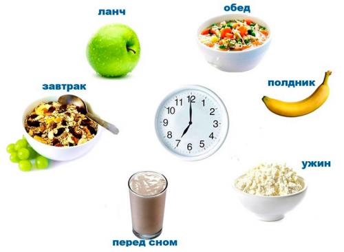 Сколько раз в день нужно есть для набора массы. Сколько раз в день есть – три или пять?