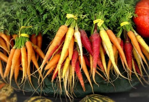 Какой Витамин помогает восстановиться витамину Е. Сколько нужно витамина А в день