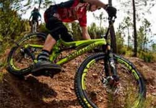 Польза от фитнеса для женщин