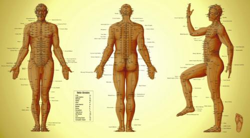 Точки для молодости. Точка долголетия и точки лечения и профилактики ста болезней