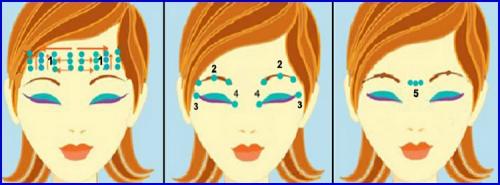 Акупунктура лица точки для молодости. Расположение рефлекторных зон