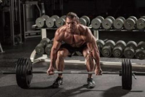 Какие группы мышц лучше совмещать для девушек в тренировочный день девушке. Одна мышечная группа за тренировку