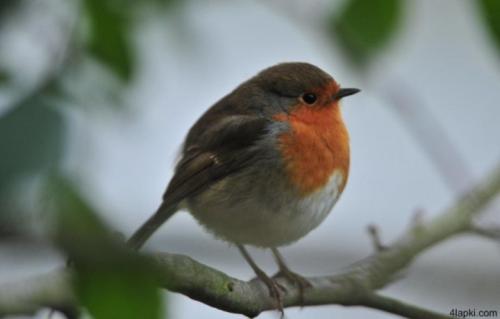 На что готовы женщины ради красоты? 10 очень болезненных косметологических процедур, которые обещают невероятный эффект