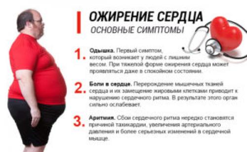 Как влияет лишний вес на здоровье женщины. Пагубное влияние. Какие органы страдают при ожирении 03 Как влияет лишний вес на здоровье женщины. Пагубное влияние. Какие органы страдают при ожирении 03
