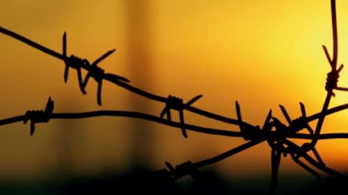 Когда нибудь ты поймешь стихи. Когда нибудь, Ты может быть, поймешь