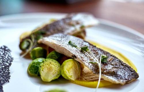 Скумбрия при ПП. Скумбрия