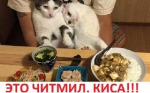 ПП-рецепты. Добро пожаловать в мир вкусной и полезной еды!