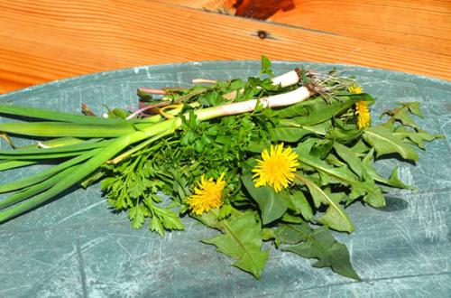 Рецепт салата из одуванчика «Витаминный»