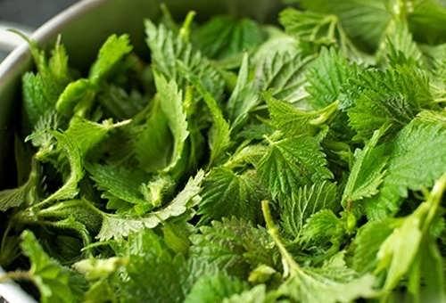 Маски для бешеного роста волос в домашних условиях. Питательные маски для иссушенных прядей