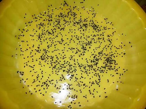 Воздушный рецепт Шарлотки с яблоками.