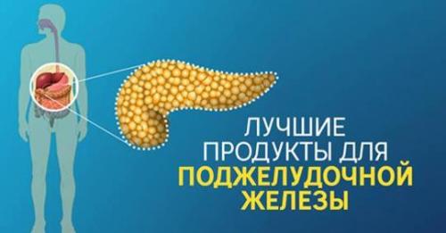 Девять продуктов в которые влюблена поджелудочная железа. 10 продуктов, в которые влюблена поджелудочная железа! Вот чем побаловать этот капризный орган…