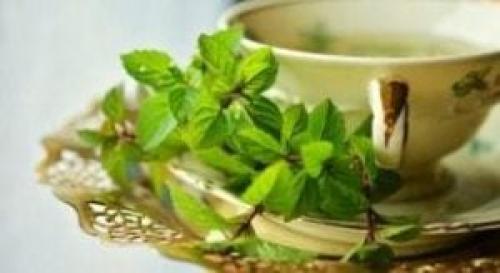 Зеленый чай, польза и вред для здоровья после 50 лет