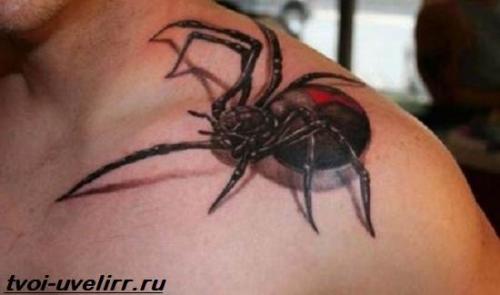 Тату роз на ключице. Цвета и значение татуировки роза 27 Тату роз на ключице. Цвета и значение татуировки роза 27