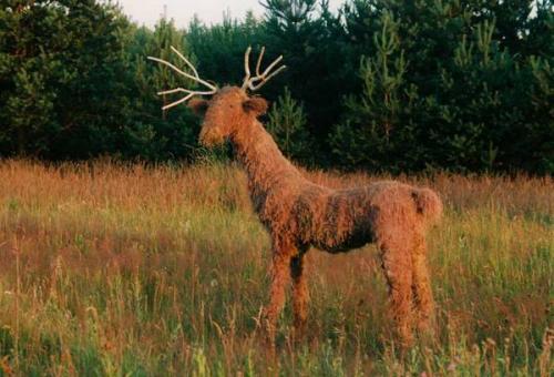 Олень северный своими руками. Новогодний олень своими руками: несколько простых вариантов изготовления 23
