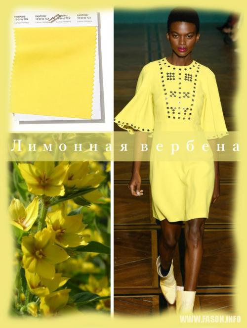 Какой цвет осенью в моде. Модные цвета осенне-зимнего сезона 2019-2020 по версии Pantone 22 Какой цвет осенью в моде. Модные цвета осенне-зимнего сезона 2019-2020 по версии Pantone 22