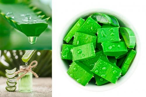 Маска для жирных волос с алоэ. Маска с алоэ для роста волос и от выпадения