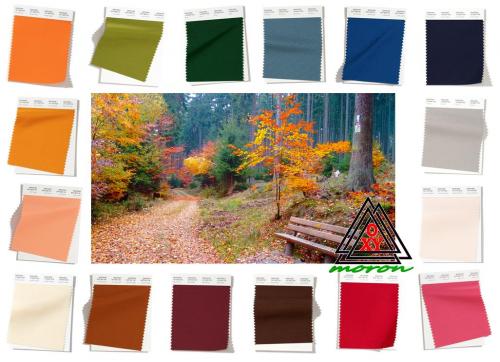 Какой цвет осенью в моде. Модные цвета осенне-зимнего сезона 2019-2020 по версии Pantone 10 Какой цвет осенью в моде. Модные цвета осенне-зимнего сезона 2019-2020 по версии Pantone 10