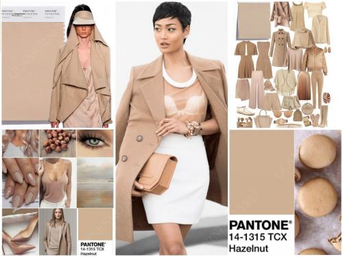 Какой цвет осенью в моде. Модные цвета осенне-зимнего сезона 2019-2020 по версии Pantone 12 Какой цвет осенью в моде. Модные цвета осенне-зимнего сезона 2019-2020 по версии Pantone 12