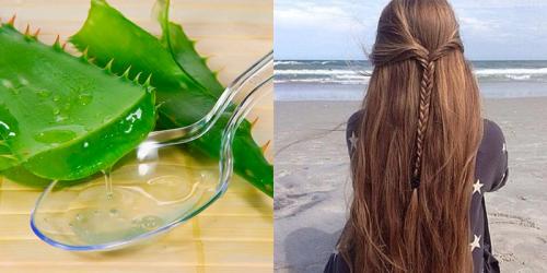 Маска для жирных волос с алоэ. Маска с алоэ для роста волос и от выпадения