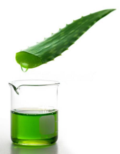 Маски для лица с алоэ от морщин в домашних условиях. Домашние маски с алоэ для борьбы с морщинами 02