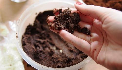 Маска в домашних условиях от жирных волос. Рецепты масок