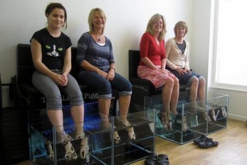 Рыбки которые едят ороговевшую кожу. Пилинг рыбками