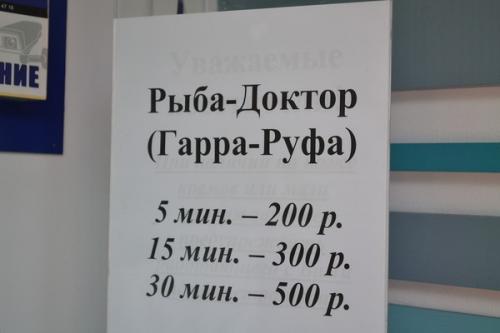 Рыбки которые едят ороговевшую кожу. Пилинг рыбками