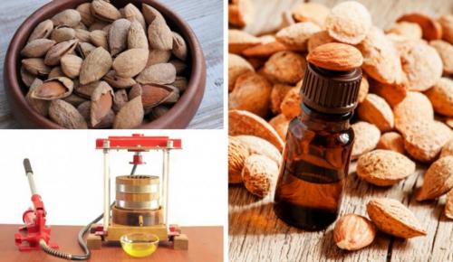 Миндальное масло польза. Как сделать миндальное масло