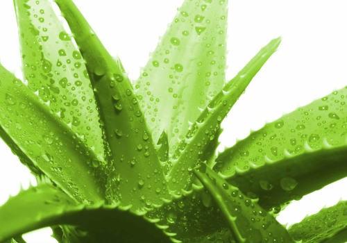 Как увеличить густоту бровей? 04 Как увеличить густоту бровей? 04