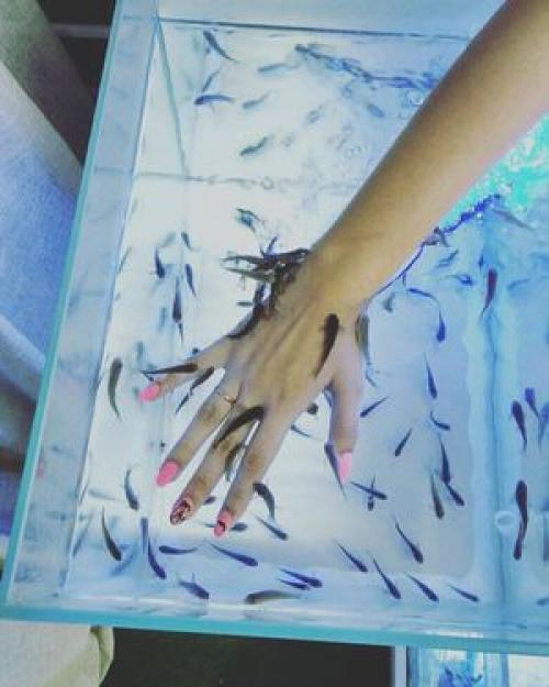 Рыбки которые чистят ноги, как называются. Что такое фиш-пилинг 05