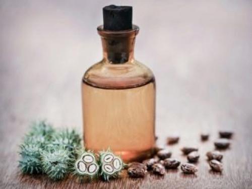 Как отрастить брови в домашних условиях за неделю. Почему плохо растут брови: причины 06