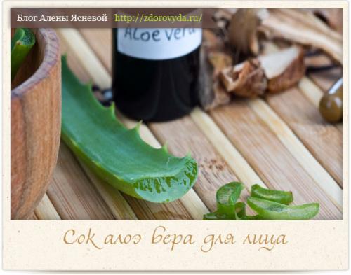 Протирать лицо листом алоэ. Эффективное применение сока алоэ для лица — свойства и рецепты