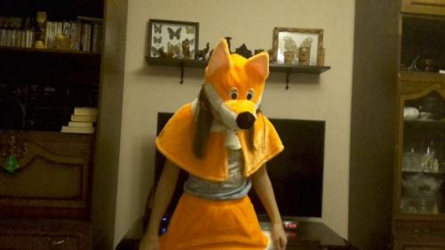 Костюм лисы из подручных материалов. Костюм лисы своими руками — идеи и варианта, как сделать ребенку костюм в домашних условиях (фото и видео)