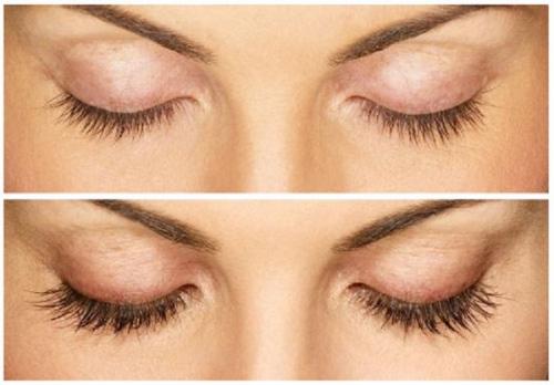 Что лучше для ресниц репейное масло или касторовое. Касторовое или репейное масло: какое лучше для укрепления ресниц и бровей 04 Что лучше для ресниц репейное масло или касторовое. Касторовое или репейное масло: какое лучше для укрепления ресниц и бровей 04