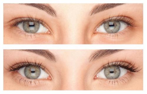 Что лучше для ресниц репейное масло или касторовое. Касторовое или репейное масло: какое лучше для укрепления ресниц и бровей 02 Что лучше для ресниц репейное масло или касторовое. Касторовое или репейное масло: какое лучше для укрепления ресниц и бровей 02