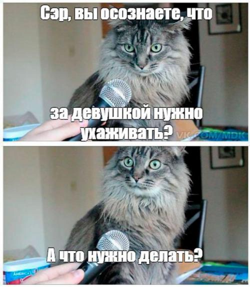 Зачем нужен вазелин для тату. Чем мазать тату для заживления