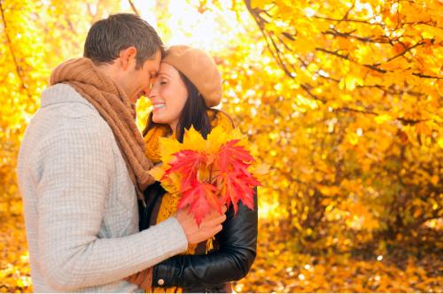 Осенний фотоальбом на каждый день. Планы на осень: 50 важных дел осени