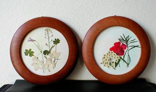 Осенний фотоальбом на каждый день. Планы на осень: 50 важных дел осени